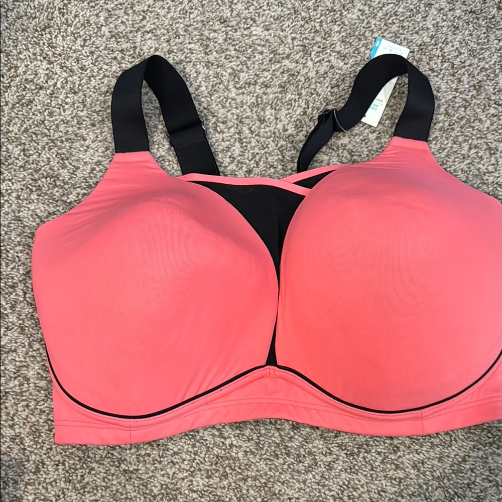 Lane Bryant Women's Pink and Black Sports Bra